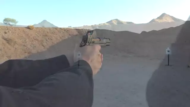 Wilson Combat Division 77 Project 1