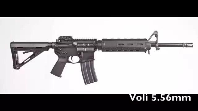 Gun Test_ 5.56mm NATO Korstog Var Carbine