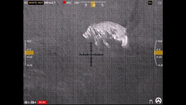 Wilson Combat Hog Hunt