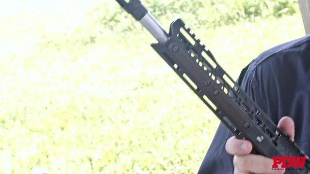 The DoubleStar STAR10-P Puts .308 Power Into an AR-10 Pisto