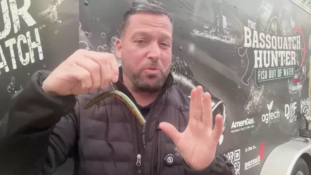 If You Could Only Choose One Bass Bait, Which Would You Choose?