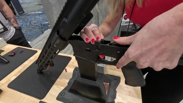 Rise Armament Slide and Snap Trigger