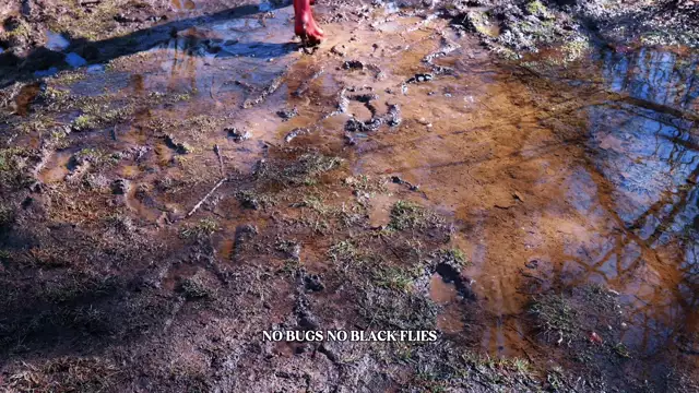 Mud Season - To Hike or Not to Hike?