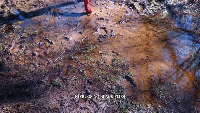 Mud Season - To Hike or Not to Hike?