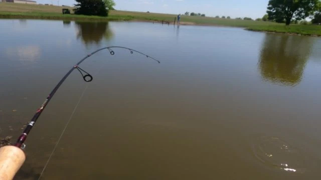 How to Self-Film Your Fishing Trips