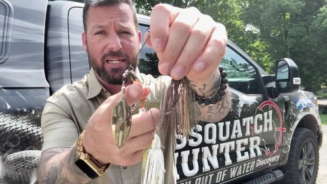 Spinnerbaits