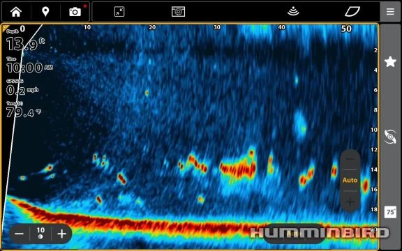 Humminbird Mega Live 2 Live Scope Clip
